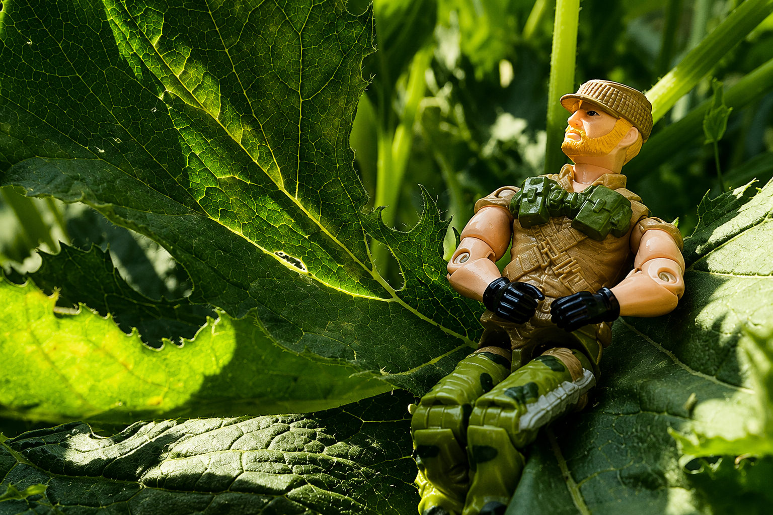 Action Figure Buyer New York